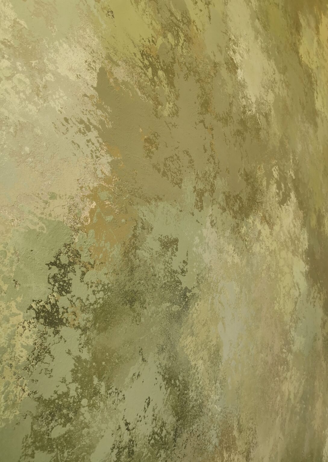 Нанесение "карта мира". Акцентные стены из декоративной штукатурки.